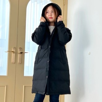 ���� ���� ���ϸ� ������ �� �е�