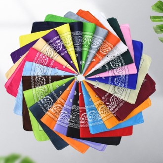 ���丮�� �ƿ����� ��� �ռ��� ��ī��(0215553)