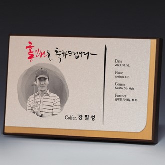 ���� �ι�ȭ �˷�̴� ���� Ʈ���� S8A014-34